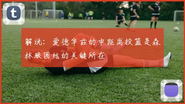 解说：爱德华兹的中距离投篮是森林狼团结的关键所在